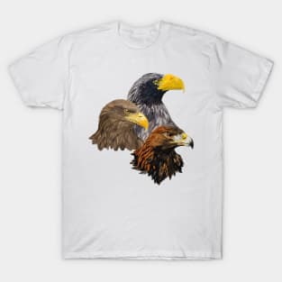 Pigargos and Eagle T-Shirt